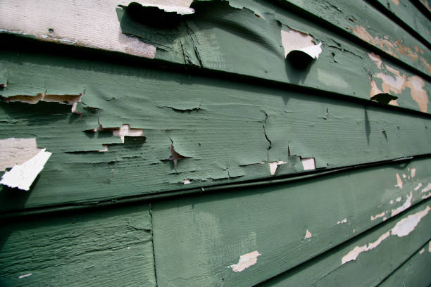 Affordable siding repair and maintenance services in Rossmoor, NJ