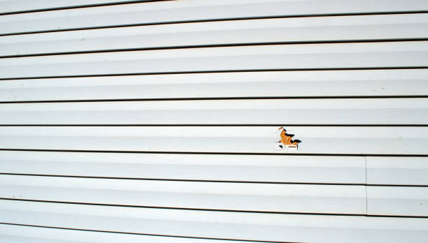 Reliable Rossmoor, NJ Siding Installation & Repair Solutions