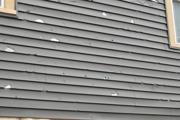 Best Custom Siding Design  in Rossmoor, NJ