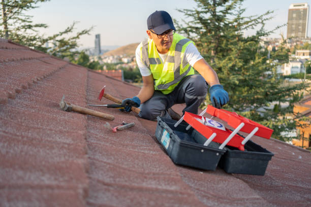 Best Stone Veneer Siding  in Rossmoor, NJ