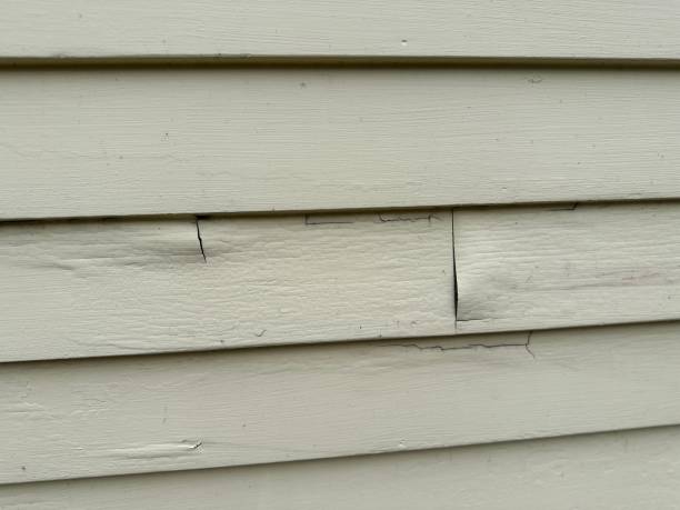 Best Siding Removal and Disposal  in Rossmoor, NJ